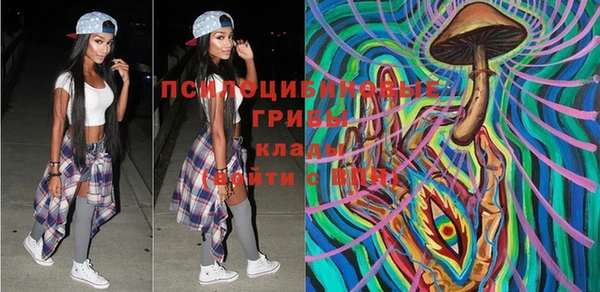 apvp Горняк