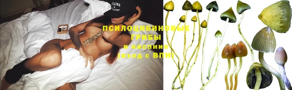 бошки Горно-Алтайск