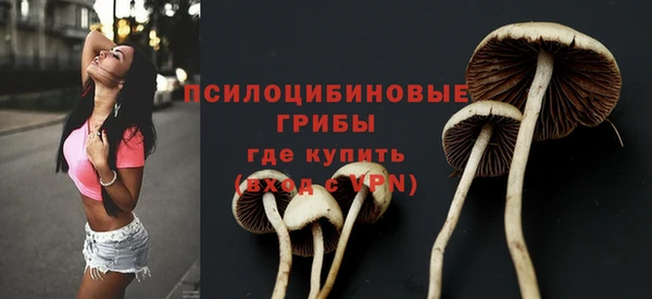 таблы Горнозаводск
