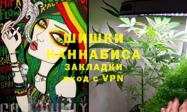 apvp Горняк