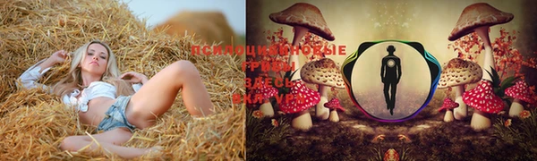 бошки Горно-Алтайск