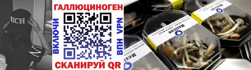 Псилоцибиновые грибы Cubensis дарнет шоп Зеленоградск